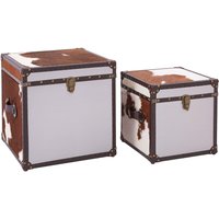 Kensick Wooden Set Of 2 Storage Trunks In Brown And White