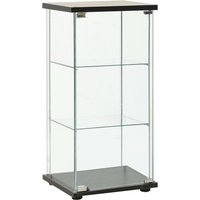 Absecon Black Shoe Storage Cabinet With Tempered Glass Frame