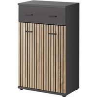 Moena Wooden Hallway Storage Cabinet 2 Doors In Anthracite