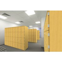 Wooden School Personal Effects Lockers - 6 Colours